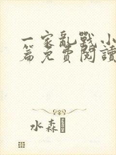 一家乱战小说全篇免费阅读封面