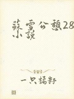 苏雪公憩28篇小说