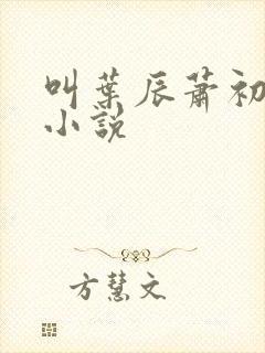 叫叶辰萧初然的小说