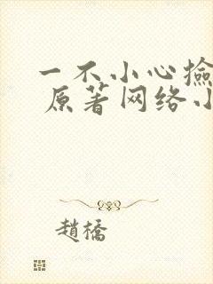 一不小心捡到爱 原著网络小说