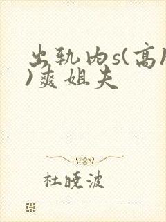 出轨内s(高h)爽姐夫