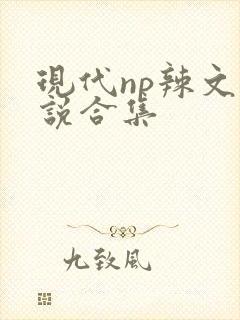 现代np辣文小说合集