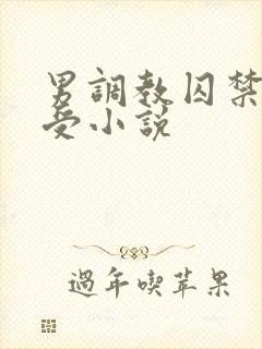 男调教囚禁双性受小说封面