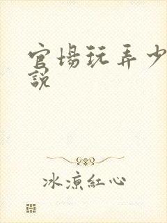 官场玩弄少妇小说封面