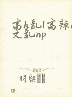 高h乱l高辣h文乱np封面