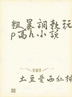 粗暴调教玩弄np高h小说