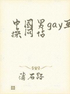 中国男gay互操网站