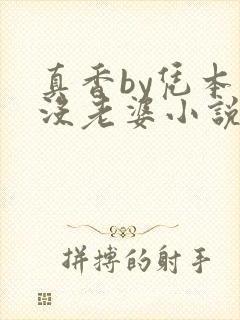 真香by凭本事没老婆小说免费阅读封面