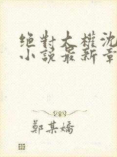 绝对大权沈向东小说最新章节更新时间封面