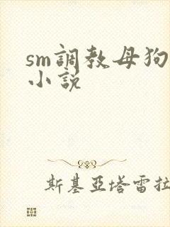 sm调教母狗奴小说