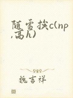 随处挨c(np,高h)