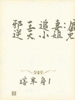 邪王追妻:废材逆天小姐免费阅读