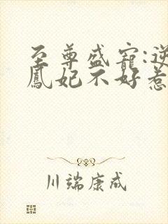 至尊盛宠:逆天凤妃不好惹封面