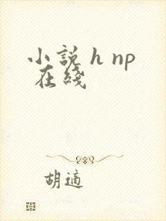小说 h np 在线封面