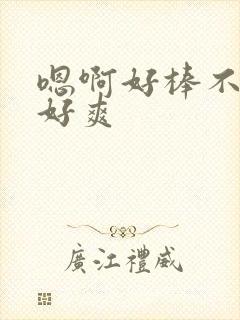 嗯啊好棒不要插好爽封面