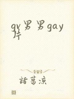 gv男男gay片封面