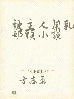 被主人用乳夹玩奶头小说