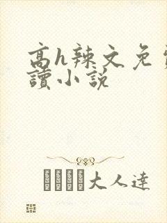 高h辣文免费阅读小说