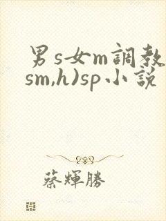 男s女m调教(sm,h)sp小说