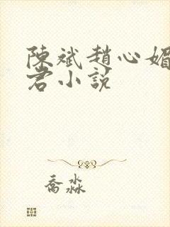 陈斌赵心媚高婉君小说