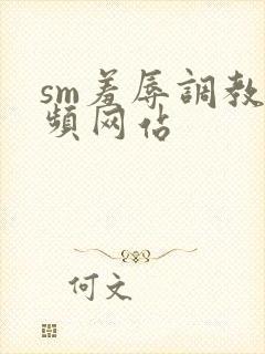 sm羞辱调教视频网站