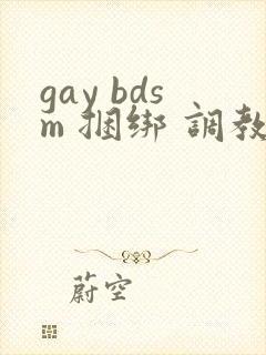 gay bdsm 捆绑 调教 男奴