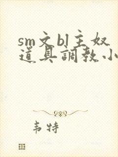 sm文bl主奴道具调教小说