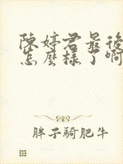 陈婷君最后结局怎么样了啊封面