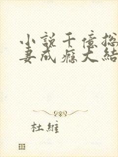 小说千亿总裁宠妻成瘾大结局