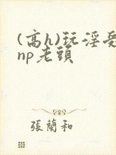 (高h)玩淫受np老头