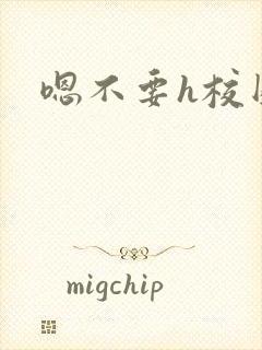 嗯不要h校园封面