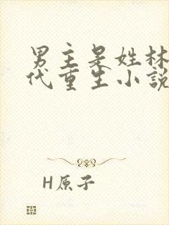 男主是姓林的现代重生小说