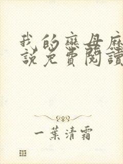 我的恋母历程小说免费阅读