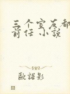 三个室友都是我前任 小说