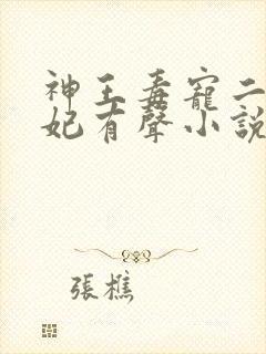 神王毒宠二嫁王妃有声小说封面