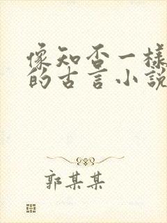 像知否一样好看的古言小说封面