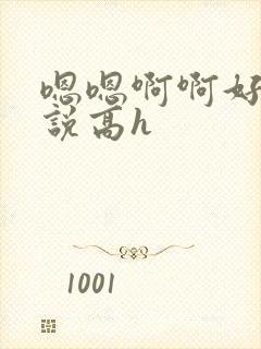 嗯嗯啊啊好爽小说高h