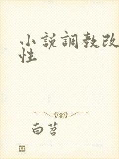 小说调教改造双性