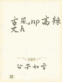 古风np高辣爽文h