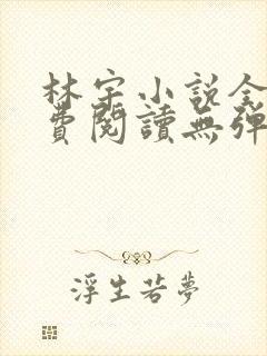 林宇小说全文免费阅读无弹窗