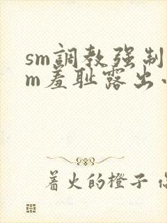 sm调教强制女m羞耻露出小说