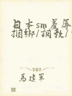 日本sm羞辱/捆绑/调教/束缚电影