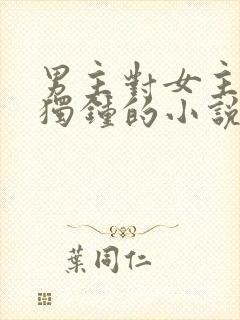 男主对女主情有独钟的小说