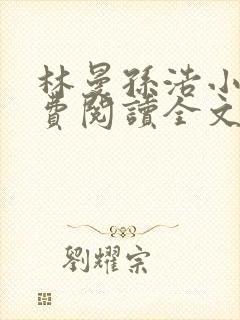 林曼孙浩小说免费阅读全文最新章节