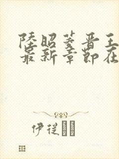 陆昭菱晋王小说最新章节在线阅读