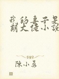 我的妻子是大乘期大佬小说txt下载