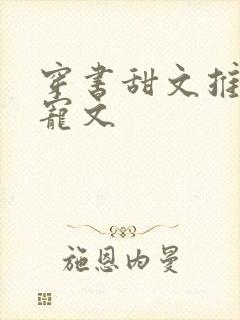 穿书甜文推荐甜宠文