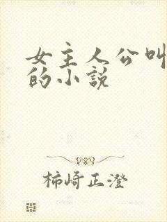 女主人公叫苏念的小说