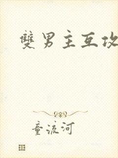 双男主互攻小说