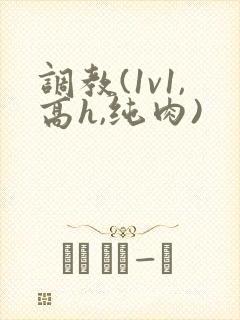 调教(1v1,高h,纯肉)